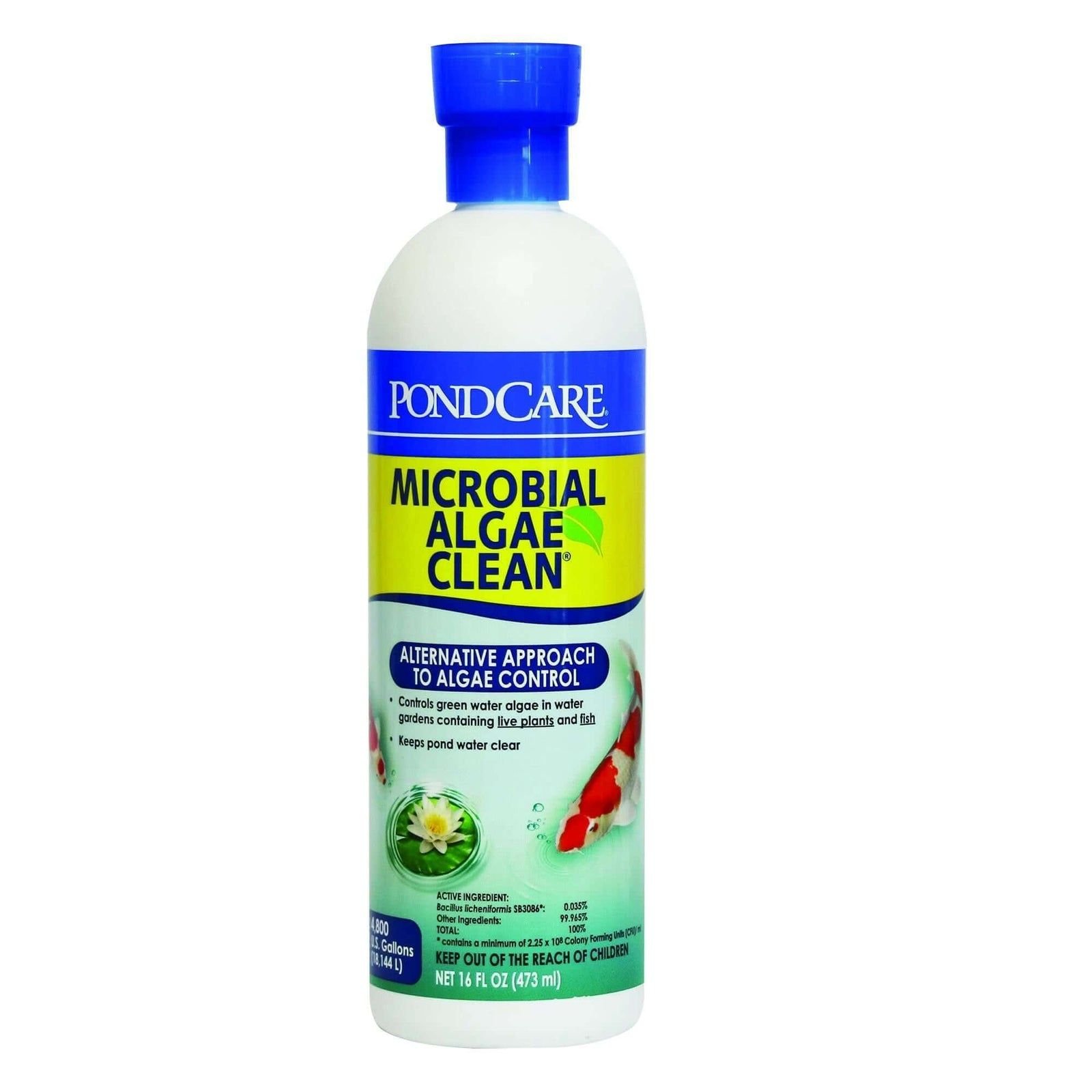 API Microbial Pond Algae Clean