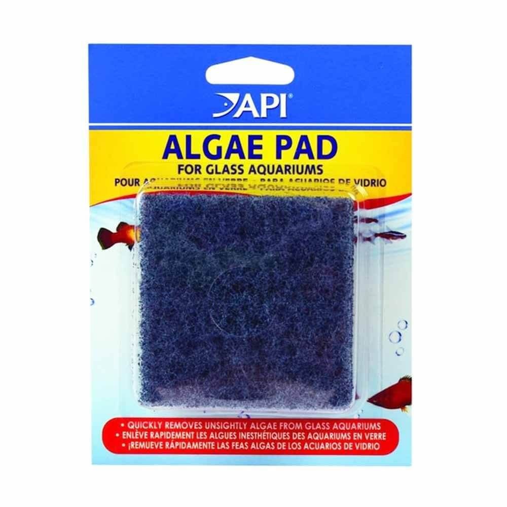 API Algae Scraper Pad